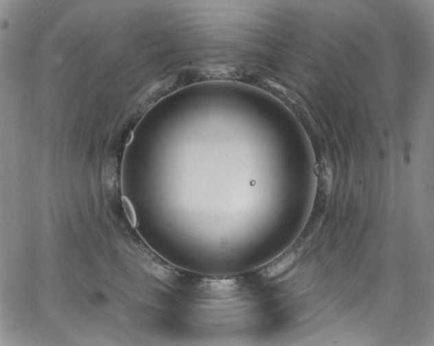 X0000063530665200601201459