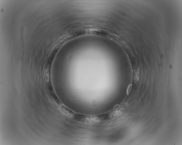 X0000063530666200601201459