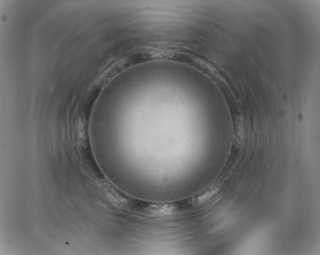 X0000063530667200601201459