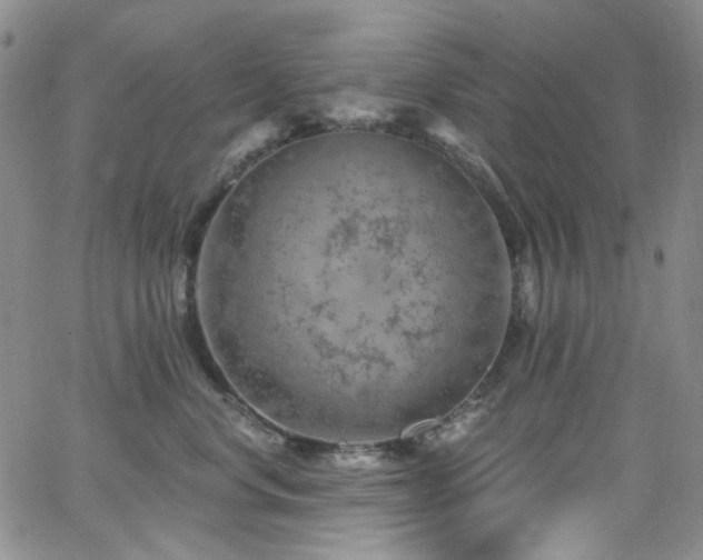 X0000063530668200601201500