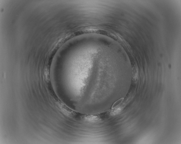 X0000063530669200601201500