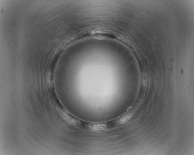 X0000063530670200601201500