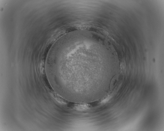 X0000063530671200601201500