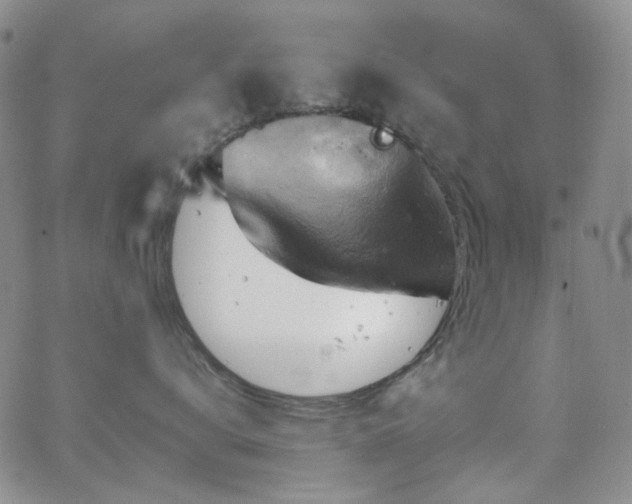 X0000063530672200601201500