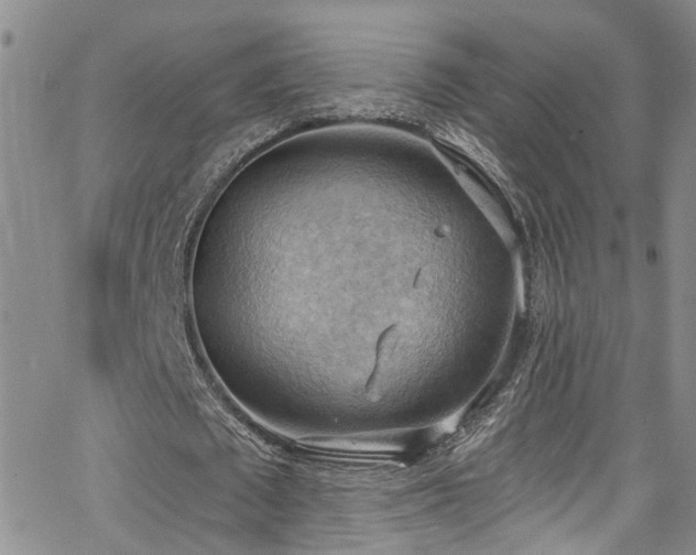 X0000063530673200601201459