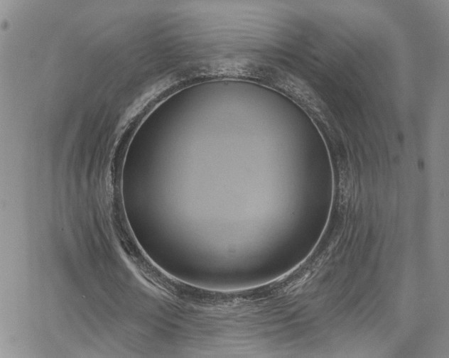 X0000063530674200601201459