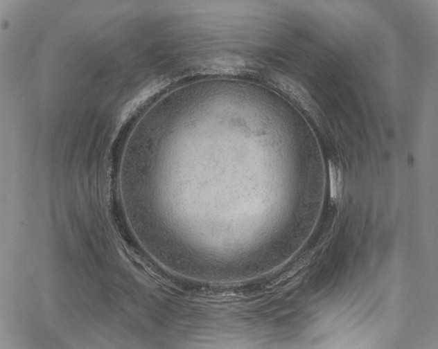 X0000063530675200601201459