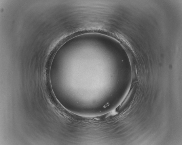 X0000063530676200601201459