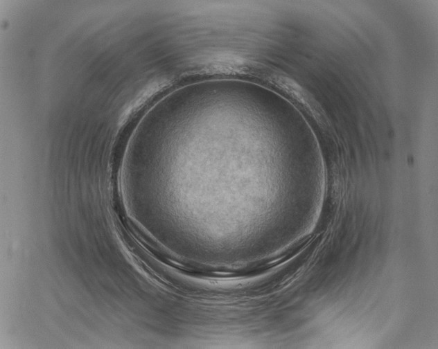 X0000063530677200601201459