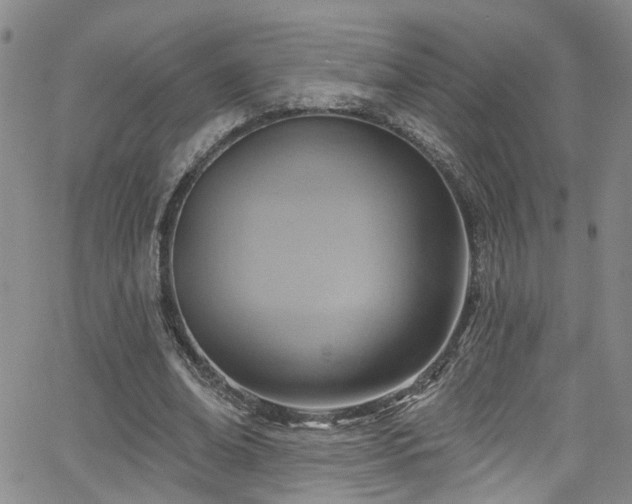 X0000063530678200601201459