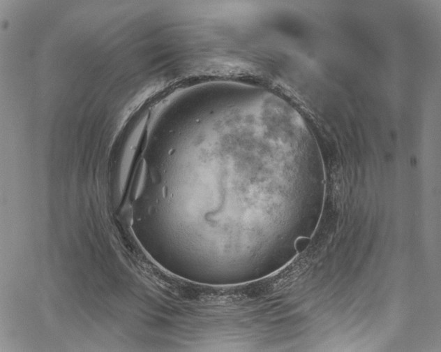 X0000063530679200601201459