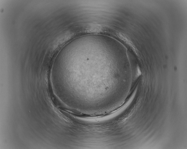 X0000063530681200601201459