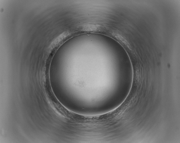 X0000063530682200601201459