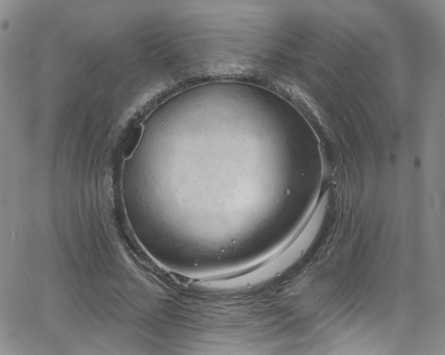 X0000063530684200601201459