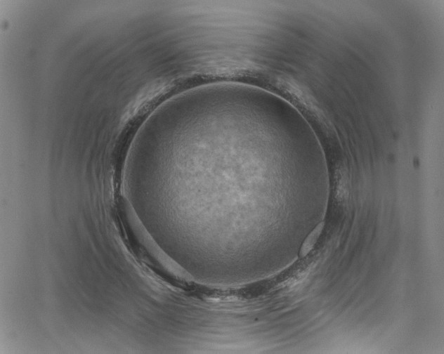 X0000063530685200601201459