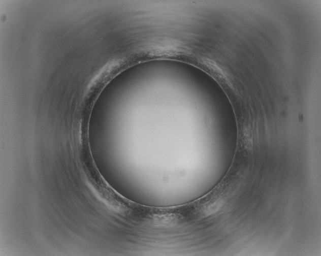 X0000063530686200601201459