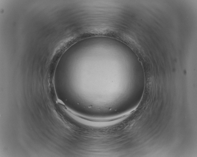 X0000063530688200601201459