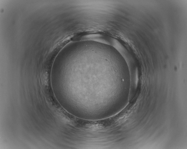 X0000063530689200601201459