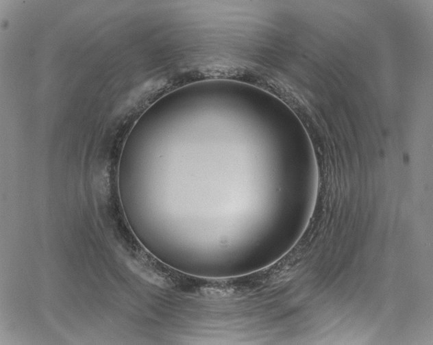 X0000063530690200601201459