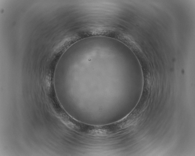 X0000063530691200601201458