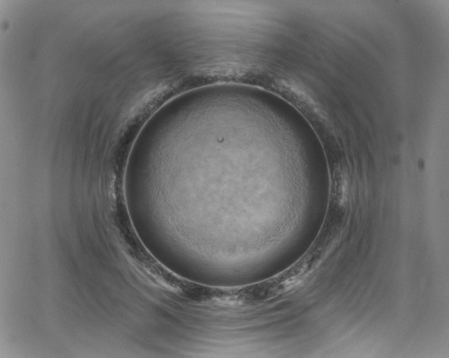 X0000063530692200601201458