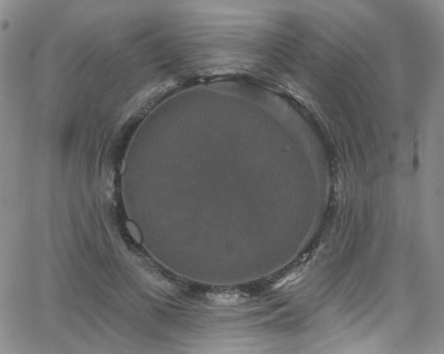 X0000063530693200601201458