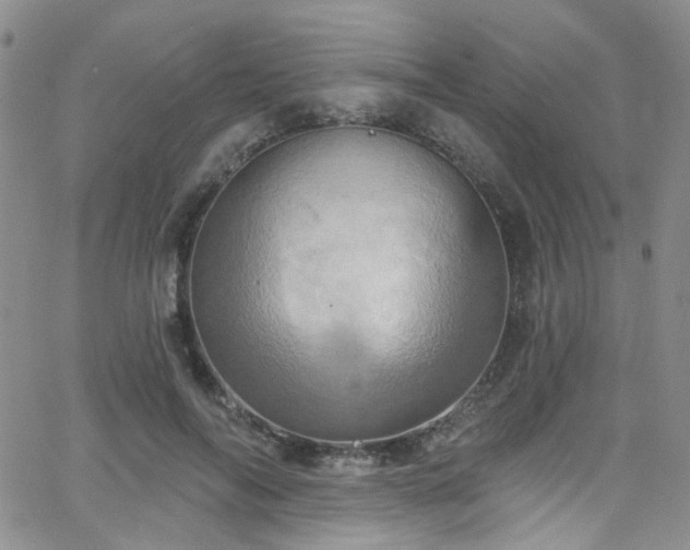 X0000063530694200601201458