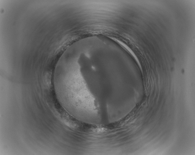 X0000063530695200601201458