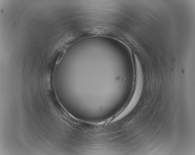 X0000063530696200601201458