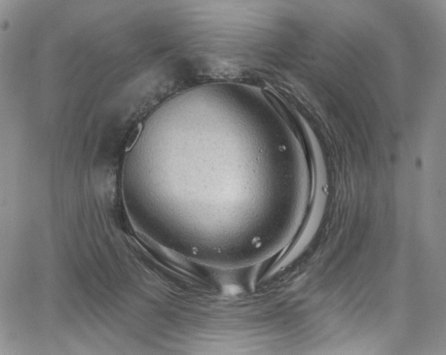 X0000063530697200601201458