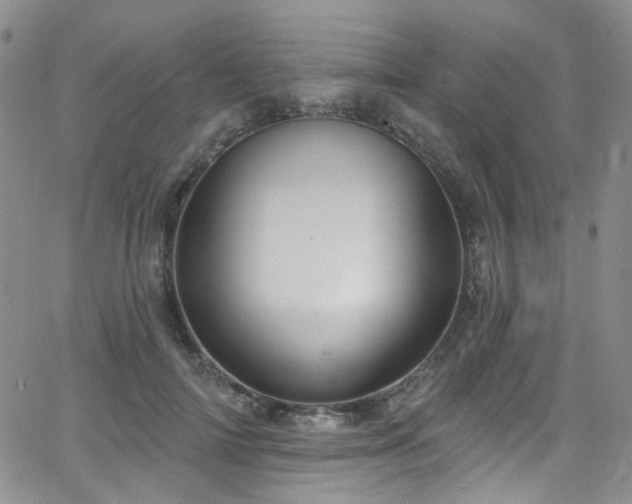 X0000063530698200601201458