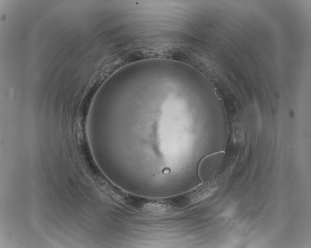 X0000063530699200601201458