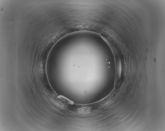 X0000063530700200601201458