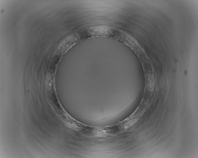 X0000063530701200601201458