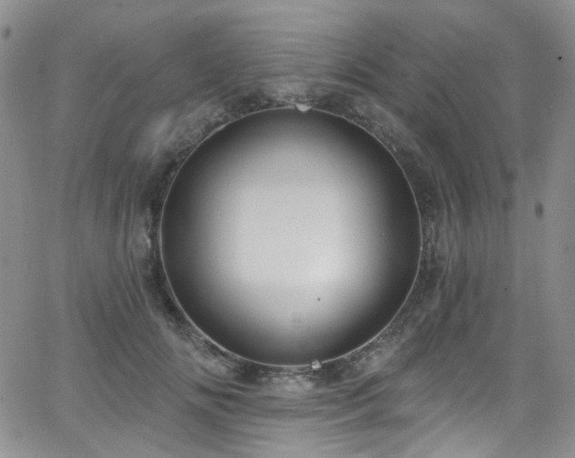 X0000063530702200601201458