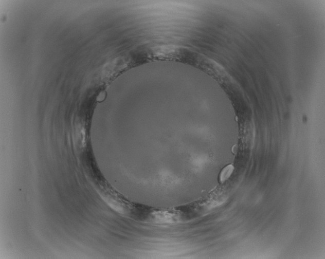 X0000063530703200601201458