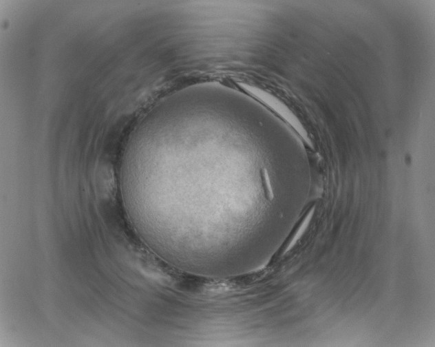 X0000063530704200601201458