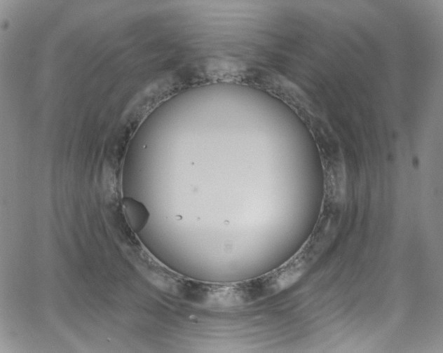 X0000063530705200601201458