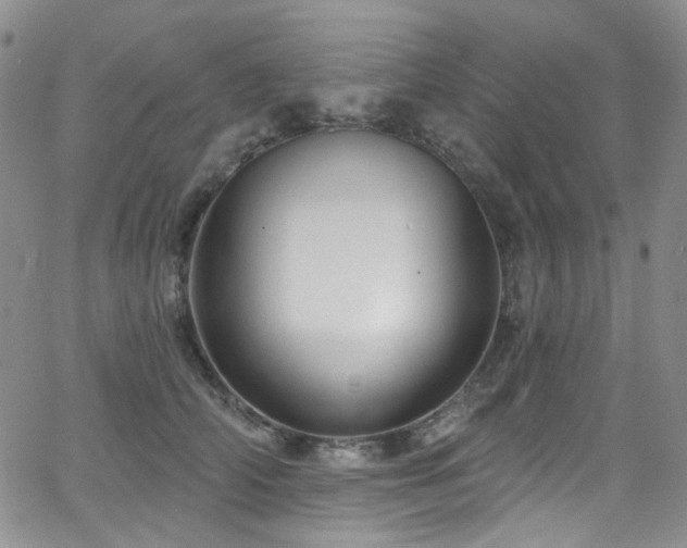 X0000063530706200601201458