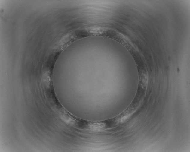 X0000063530707200601201458