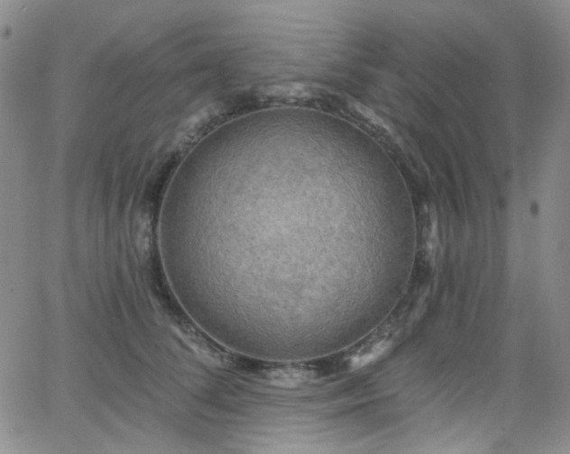 X0000063530708200601201458