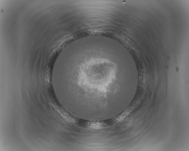 X0000063530710200601201458