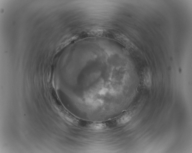 X0000063530711200601201458