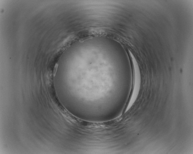 X0000063530712200601201458