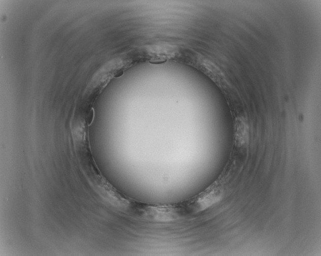 X0000063530713200601201458