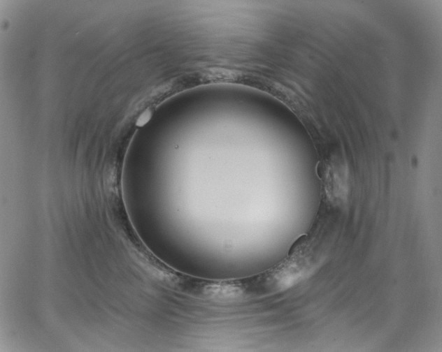 X0000063530714200601201458