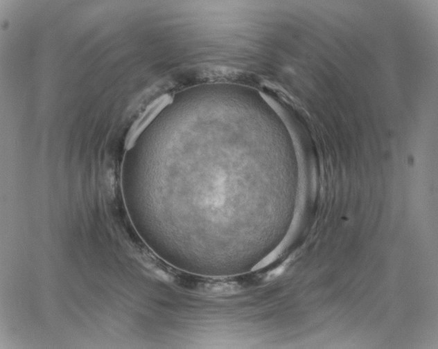 X0000063530716200601201458