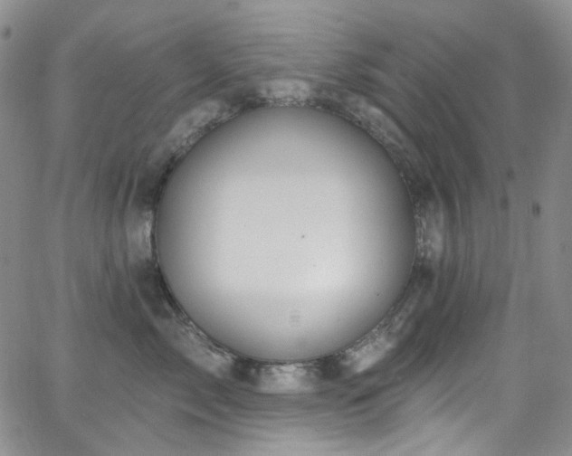 X0000063530717200601201458