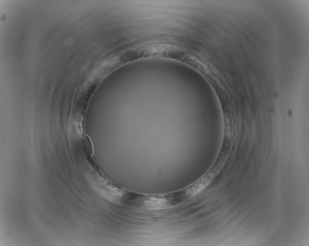 X0000063530718200601201458