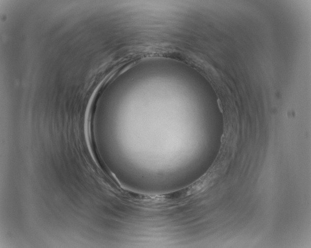 X0000063530720200601201458